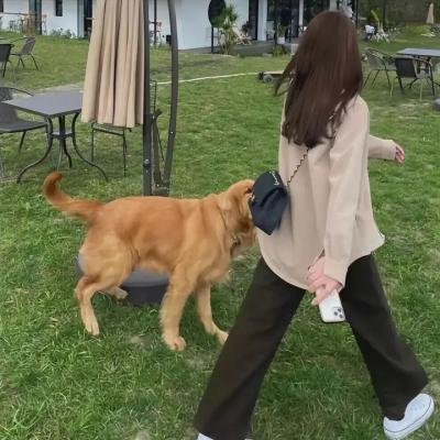 传说